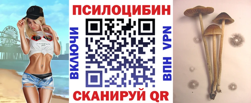 OMG ССЫЛКА Таганрог Псилоцибиновые грибы Psilocybe